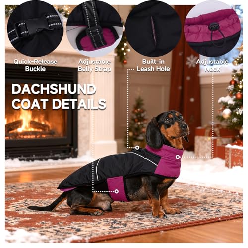Veste pour chien imperméable réglable反光防寒保护 M码