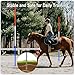 mayoken® 8 Pcs Pole Bending Poles for Horses – 6.3FT Adjustable Horse Training Equipment, Durable ABS Horse Agility Poles with Ground Spikes & Oxford Carry Bag for Equestrian Training