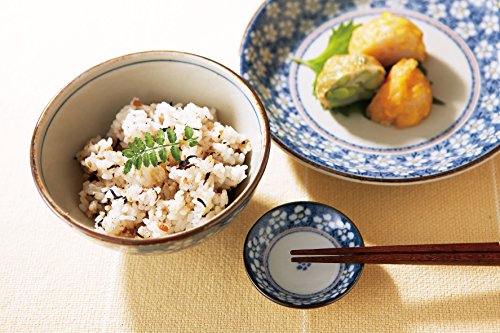 早春(ブルー) 粗白めん鉢[φ18.5×8.5cm] SSYA6CB