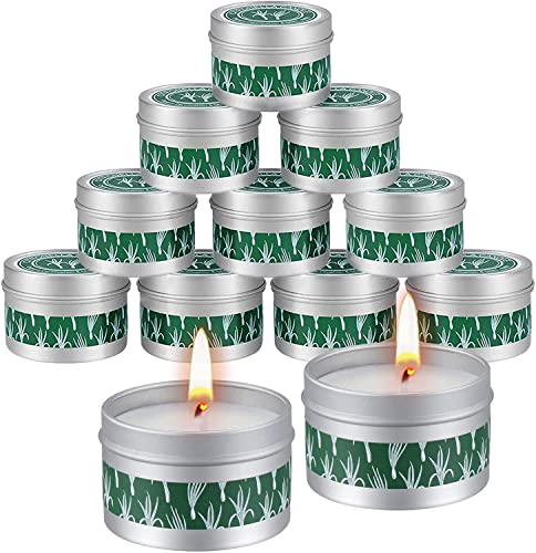 VICBAY Bougie Citronnelle Ensemble Intérieur Extérieur, 12 Packs x 2.5oz, 240 Heures brûlantes, 100% Huile Essentielle de Cire de Soja Naturelle Seau en fer Portable pour Patio/ Balcon/ Camping Cover