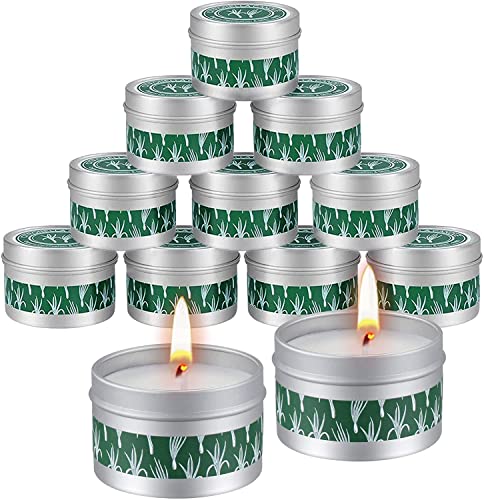 Citronella Candles Outdoor Indoor VICBAY 12 Pack X 2.5oz Natural Soy Wax Lemongrass Summer Candle Long Burning up to 240 Hours, Iron Bucket Candles for Garden/ Party/ Dinner/ BBQ/ Home Patio