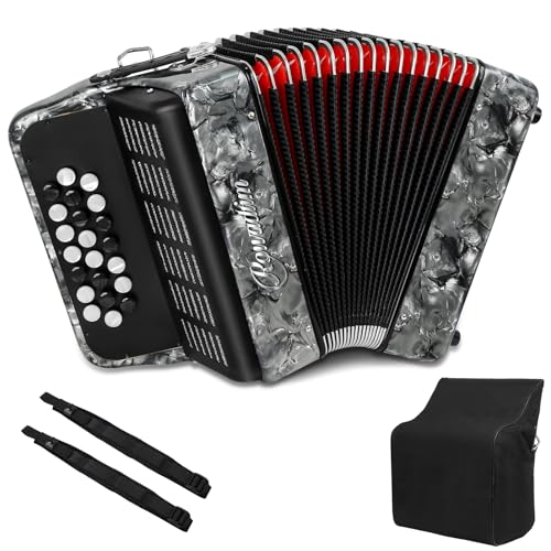 Accordion - 22 keys 8 bass, lightweight piano accordion for beginners, vibrant design for beginners and adults for easy learning (8 Bass, Gray)