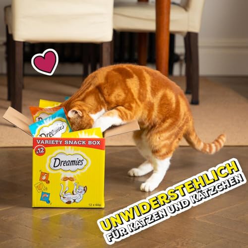 DREAMIES Katzensnacks - 12x60g - mit Huhn, Käse und Lachs - Traumhaft knusprige Katzen Leckerlies mit zarter Füllung - Variety Snack Box