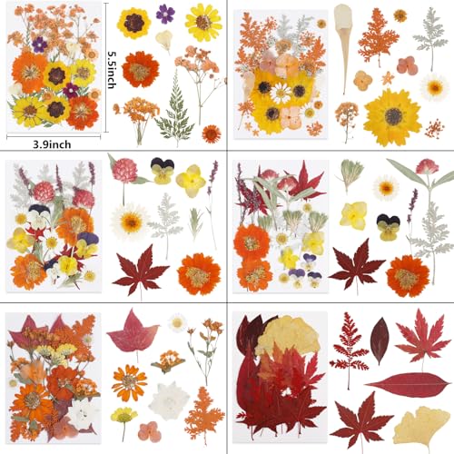 277 Pcs Flores Secas para Manualidades NESCCI miniatura 3