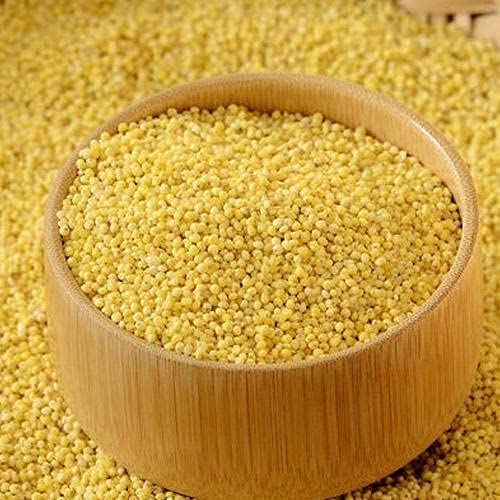 Little Millet / Samalu 1kg Amazon.in Grocery & Gourmet Foods