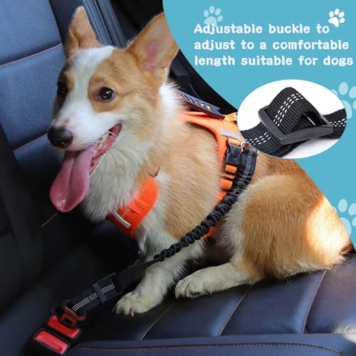Mauepersu Hunde Sicherheitsgurt 2 Stück, Anschnallgurt Hund Auto mit reflektierendem elastischem Nylon-Bungee, Hunde sicherheitsgurt für alle Hunderassen und Auto Sitze Trunk
