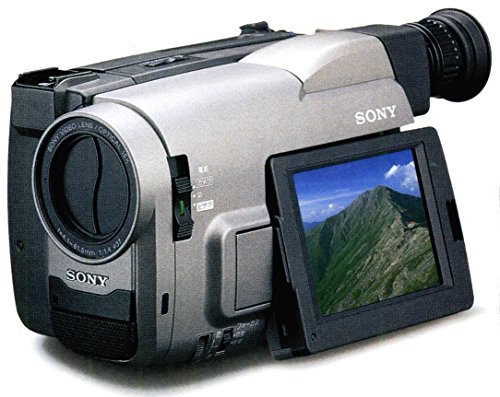 51XltTV7cJL.jpg