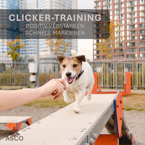 ASCO Premium Clicker, Hunde und Katzen Klicker für professionelles Clickertraining mit Stretcharmband, schwarz, ASCO-01PA