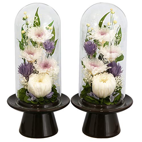 A[gtH[V[Y ֋e n GlassDome ΃fUCSETzCg vU[uht[