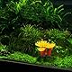 CIYODO Aquarium Korallenriff KüNstliche Korallenwasserpflanzen Fischtank Dekorationen ZubehöR Unterwasser Landschaftsgestaltung Ornament