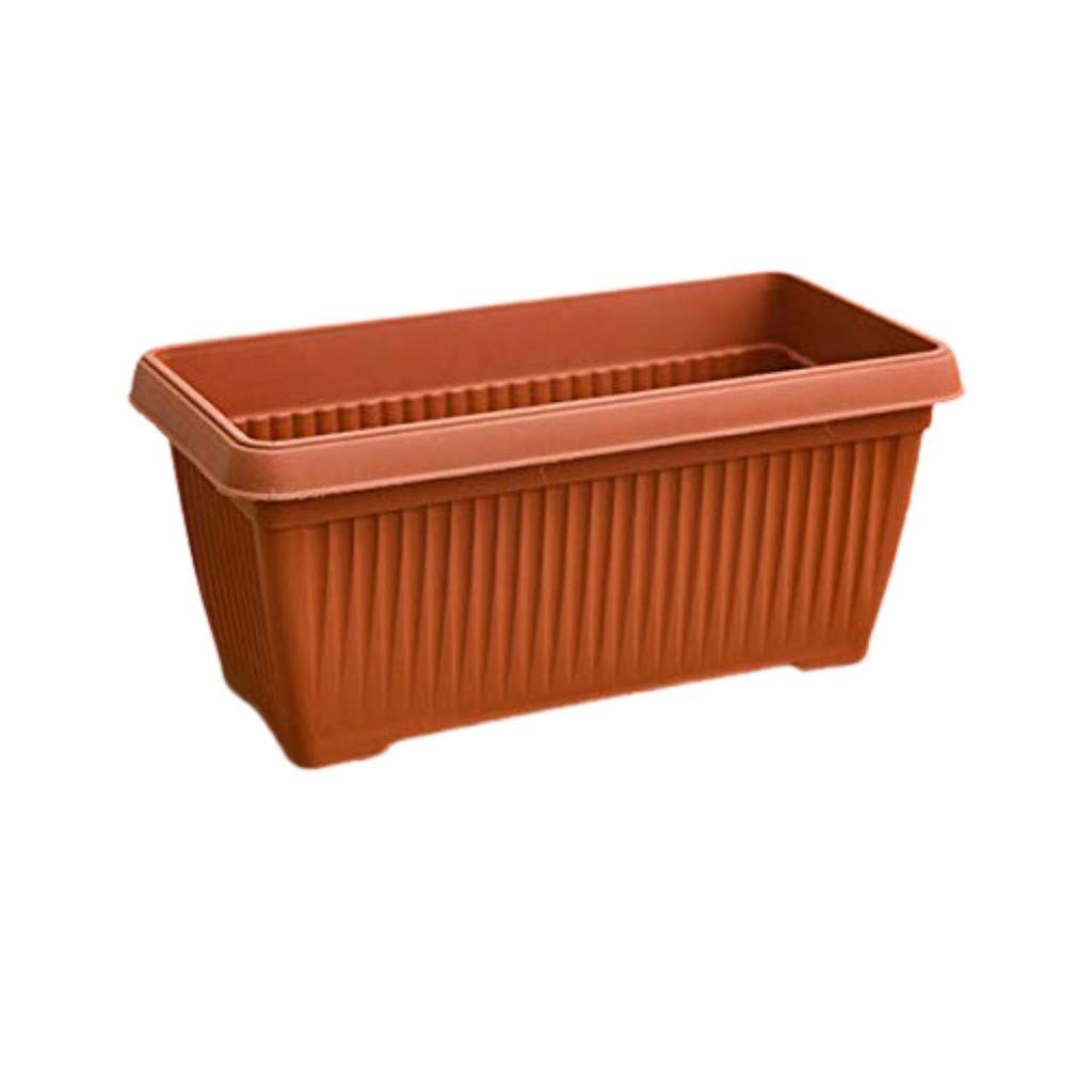 See full amazon price history chart for Creative Farmer Plastic Decorative Flower Pot Rectangle (30 * 15 * 14Ht Cm) Colour : Terracotta (Pack of : 1Nos) Creative Farmer Plastic Decorative Flower Pot Rectangle (30 * 15 * 14Ht Cm) Colour : Terracotta (Pack of : 1Nos) (B08RFQWJBS) Amazon Price History, Amazon Price Tracker