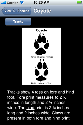 Animal Tracks