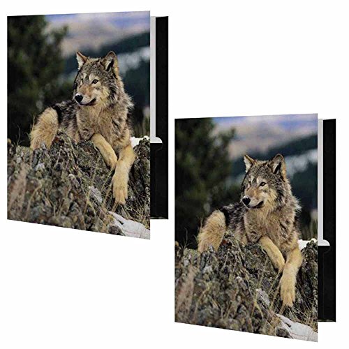 Wolf on Rocks Presentation File Folder - Set of Two