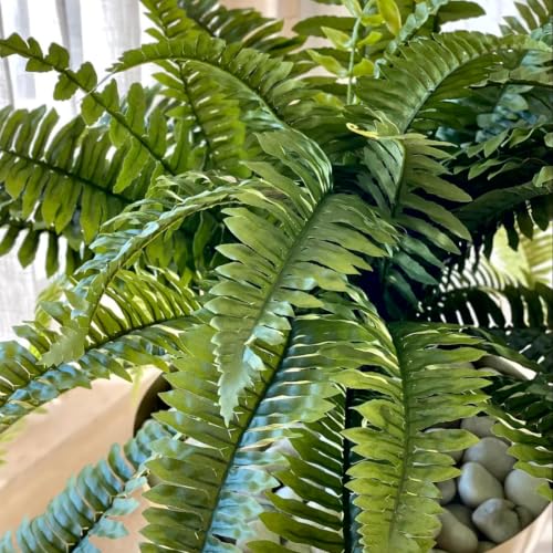 Image of MASON HOME Artificial Grove Fern Plant - 2 Feet | Realistic Plant - Trees - Flowers | Indoor Tropical | Home - Shop - Office - Cafe | Gifting - Decor - Ambience - Durable | No Maintenance