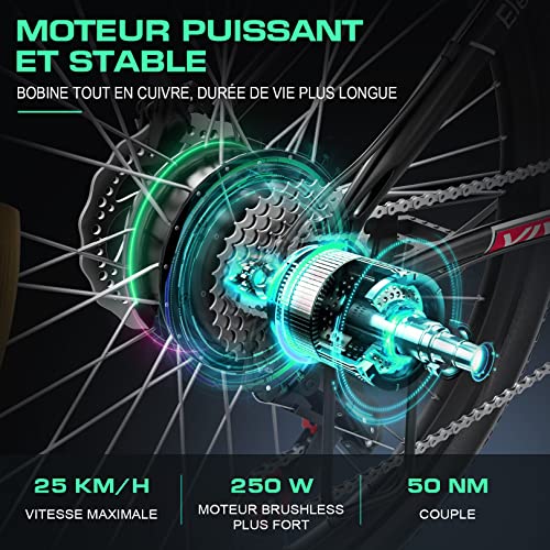 Vivi-Velo-Electrique-Velo-de-Montagne-Electrique-pour-Adulte-26-Pouces-Velo-Electrique-250W-Ebike-de-avec-Batterie-Lithium-ION-Amovible-8Ah-Professionnel-21-Vitesses Vivi Vélo Électrique Vélo de Montagne Électrique pour Adulte, 26 Pouces Velo Electrique 250W Ebike de avec Batterie Lithium-ION Amovible 8Ah, Professionnel 21 Vitesses
