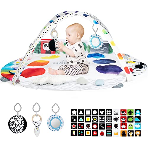 Top 10 Best Baby Sensory Play Mat Reviews & Buying Guide Katynel
