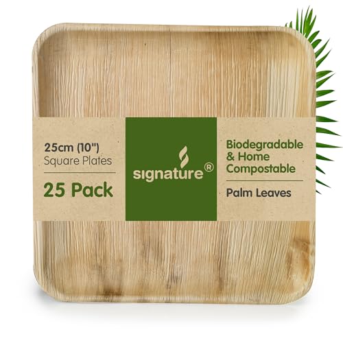 Signature Packaging - Disposable Palm Leaf Plates - Sturdy, Large Square Plates - 25Cm, 25 Pack - 2