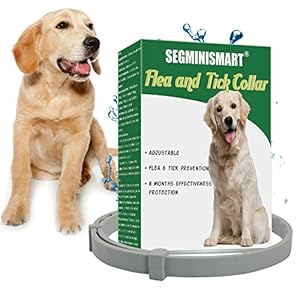 Collar Antiparasitario para Perros, contra Pulgas Garrapatas y Mosquitos, Ajustable a Prueba de Agua, para Pequeños Animales Domésticos de Tamaño Mediano