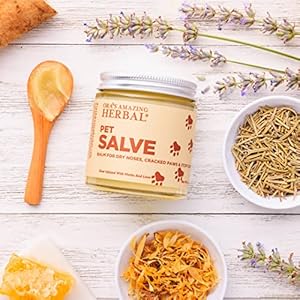Pet Salve, Dog Paw Balm, Dry Noses Cracked Paws, Hot Spots, Itchy Ears, Lightly Scented with Lavender Essential Oil and Rosemary, Cruelty-Free, No Tea Tree Oil, Safe for Pets, Ora’s Amazing Herbal 4oz