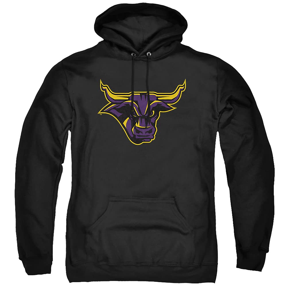 LOGOVISION Official Collegiate Distressed Primary Logo Adult Pullover Hoodie Collection — view 220
