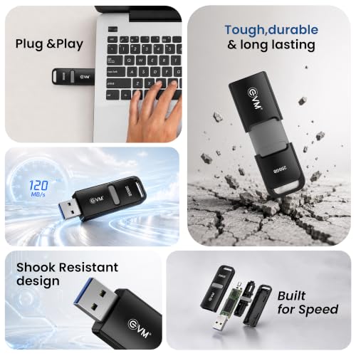 Image of EVM EnX 256GB USB 3.2 Gen 1 Flash Drive | Exceptional 120MB /s Read | Sturdy Premium Metal Body | Convenient Integrated Key Loop | Laptop Desktop Smart TV Car Stereo | 10 Years Warranty (ENX /256GB)