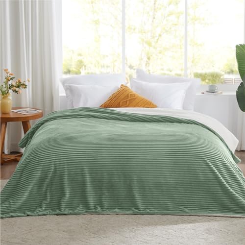 Sherpa Blankets Queen Size - Fleece Queen Blanket for Bed Soft and Warm Throw Blanket for Winter 90 x 90 Sage Green