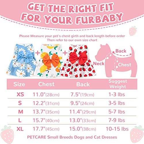 Petcare 3 Pack Dog Dress Small Dog Clothes Girl Cute Bow Tie Puppy Dresses Funny Fancy Floral Strawberry Summer Princess Dresses For Dogs Shih Tzu Chihuahua Yorkie Pomeranian Dog Clothes Outfits, Xl #TOP5