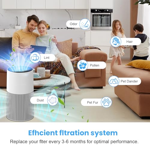Image of C610 Replacement Filter Z for Winix C610 4-Stage Air Purifier