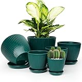 Vodotion - Plant Pots Indoor with Saucers & Drainage - 6 Pack Flower Pots - Plastic Planters for Indoor Planter - 7.5/6.6/5.8/5.0/4.3/3.5 inches Sizes for All Different Types of Plants-Dark Green