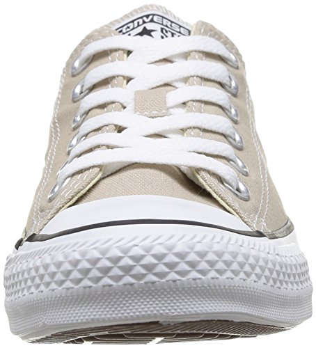 Converse All Star Ox Canvas Seasonal, Scarpe da