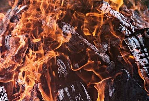 Smoak Firewood - Kiln Dried Premium Oak Firewood (Includes Firestarter) (Large (16Inch Logs) 120-140Lbs) #TOP3