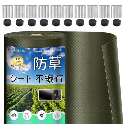 防草シート 厚手 高耐久 2×50M シート防草 不織布 除草シート補修テープ 雑草防止シート固定ピン100本と黒丸100枚付き 家庭菜園 農業 工事用 園芸用 人工芝下 （グリーン）