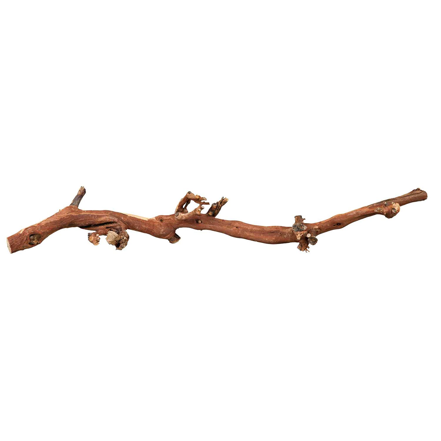 Trixie Sand-Blasted Grape vine, 5 Pieces