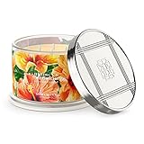 Premium Scented 4-Wick Candle, Hibiscus Flower, HomeWorx by Slatkin & Co - 18 oz - Long-Lasting Jar Candle, 30-55 Hours Burn Time - Red Hibiscus, Mango Slices, Nectarine Blossom & Tiare Flower