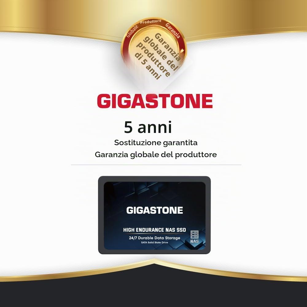 Gigastone SSD 4TB NAS SSD Disco 24/7 Alta Resistenza business RAID Sync Cloud Dati Backup Network Attached Storage Cache SATA III 2,5 Pollici Unità a stato solido interno