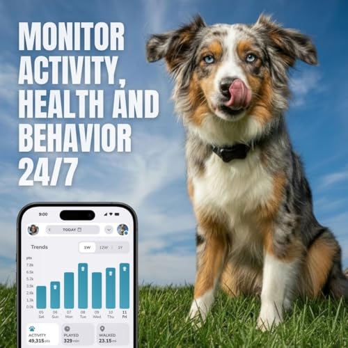 FitBark 2 Dog Activity Monitor | Health & Fitness Tracker for Dogs | Waterproof, Small & Leightweight (10 g) | Not a GPS Tracker - Image 4