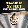 Raid Wasp & Hornet Killer Spray, Bug Killer Kills the Entire Nest, 14 Oz, 2 Count #2