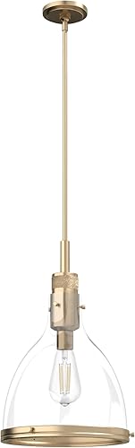 Hunter Fan Company 19295 Van Nuys Colgante Alturas Oro