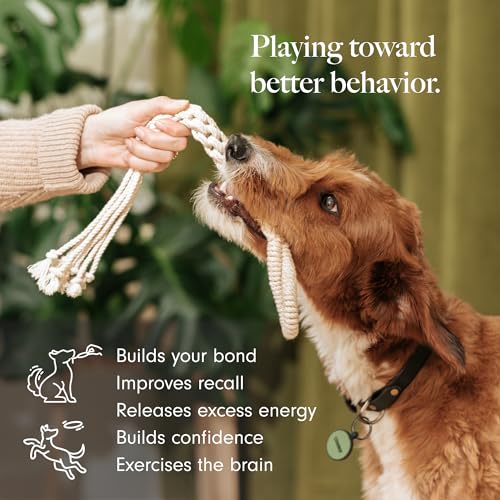LAY-LO-Natural-Non-Toxic-Cotton-Rope-Toys-for-Small-and-Medium-Dogs-2-Pack-Includes-Live-Support-with-Dog-Trainer-Durable-Eco-Friendly-Unique-Boho-Designs-with-Handle-Interactive-Dog-Toy