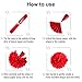 Blulu Valentine Gift Paper Kit Party Decorations, Multicolor Tissue Paper Flowers Bunting Hanging Fan for Party Decorations