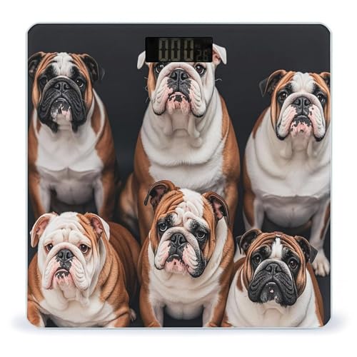 Báscula Digital Para Baño English Bulldogs Precisa miniatura 1