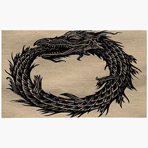 玄関ドアマット16x24ヘビウロボロス動物野生生物ドラゴン老齢ブラックブック難解な細胞ミスティコンベヤーレジェンドダークマシンウォッシャブルノンスリップマットバスルームキッチン装飾エリアラグ 80x50cm