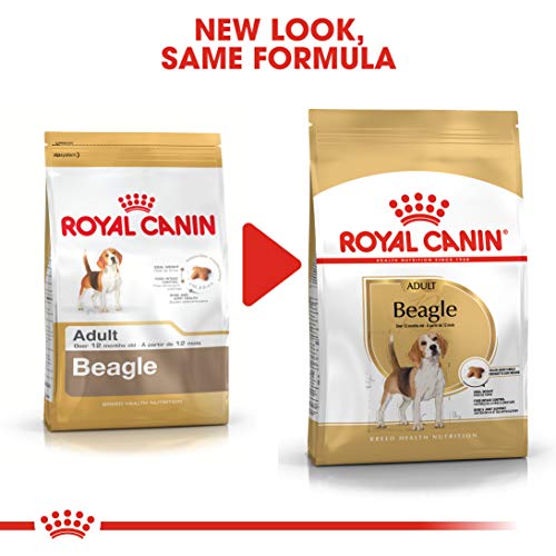 Royal Canin Beagle Adult 12 kg, 1er Pack (1 x 12 kg)