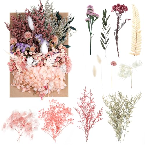 Flores Secas, Flores Preservadas Naturales, Flores Secas Decoracion Varias Flores Secas Mezcladas Flores Secas Resina Epoxi para Velas Decoración Resina Álbumes Recortes Manualidades (Rosado Morado)