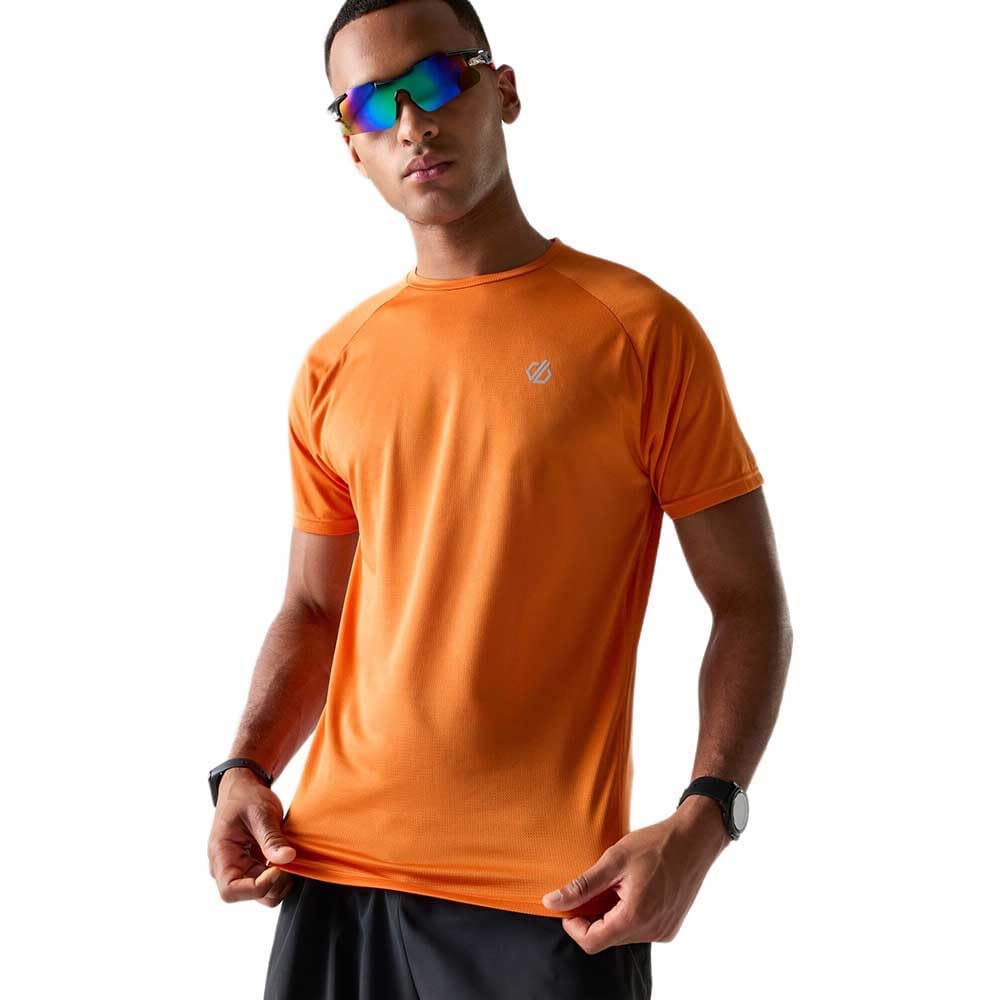 Dare 2B Accelerate Fitness T-Shirt Size: L Men's Orange