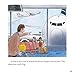 Going on a Plane (First Experiences with Biff, Chip & Kipper)
