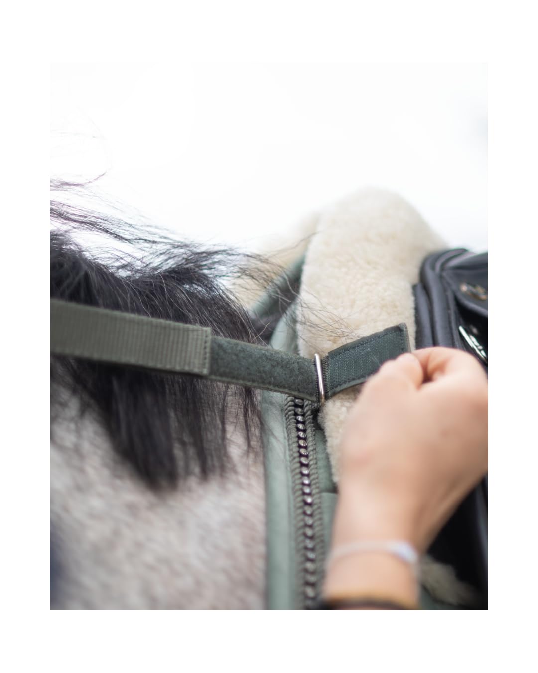 4Horses Dressurschabracke Leeds, atmungsaktive Schabracke mit Coolmax-Futter, Schaumstoffpolsterung, Polyfill und Klettschlaufen