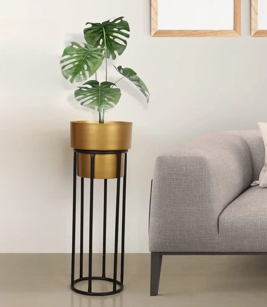 See full amazon price history chart for Amass HANDICRAFTS® Modern Metal Indoor Plant Stand with Planter Pot for Balcony, Living Room, Bedroom & Outdoor | Mid Century Floor Flower Stands, Home and Garden Décor Pack of 1 (Black/Gold) Amass HANDICRAFTS® Modern Metal Indoor Plant Stand with Planter Pot for Balcony, Living Room, Bedroom & Outdoor | Mid Century Floor Flower Stands, Home and Garden Décor Pack of 1 (Black/Gold) (B0C5FQZSBN) Amazon Price History, Amazon Price Tracker