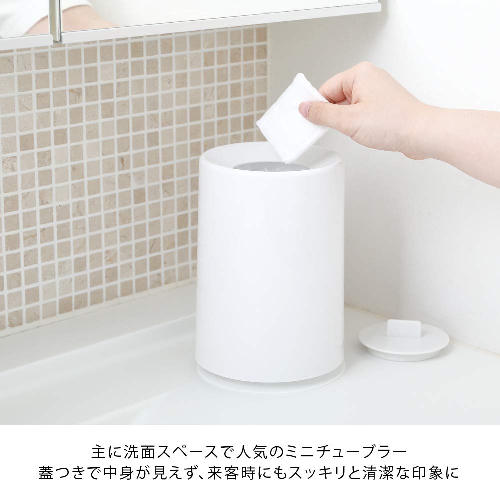 ideaco 4539918313002 Mini Trash Can with Lid, White