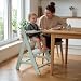 hauck Kinder Hochstuhl Alpha Plus - Mitwachsender Holz Babystuhl (FSC® zertifiziert), Kinderhochstuhl ab 6 Monate, verstellbar, mit Schutzbügel und 5-Punkt-Gurt - Mint